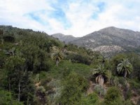 /album/fotogaleria/la-campana3-jpg/