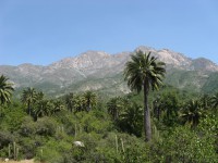 /album/fotogaleria/parque-nacional-la-campana-jpg/