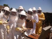 /album/fotogaleria/posando-jpg/